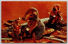 Postcard Steiff Zoo Favorites Nagy Busy Beaver and His Friends B398