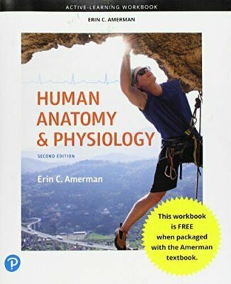 Active-Learning Workbook for Human Anatomy & Physiology by Amerman Erin C