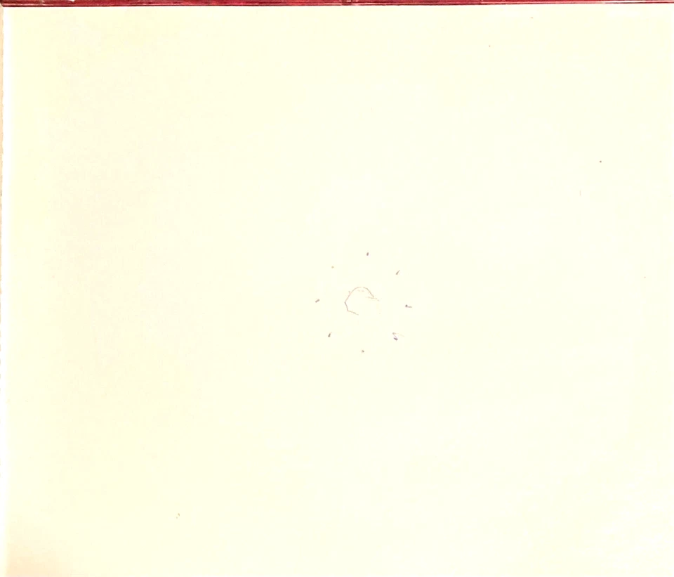 Dil Aashna Hai CD Music: Anand Milind * BOLLYWOOD HINDI - Image 3 of 3