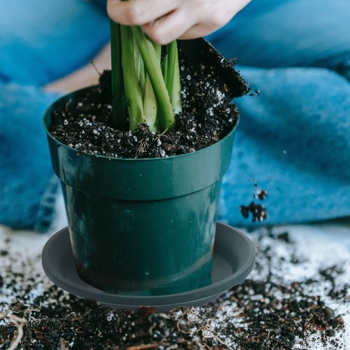 5 Pcs Planter Drip Tray Home Flowerpot Plate Waterproof Extra Large Saucer - Picture 5 of 12