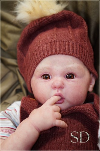 Studio-Doll Baby BOY toddler Erin by Ann Timermann 26 inch - 第 6/24 張圖片