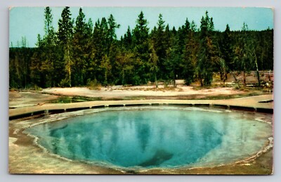 Morning Glory Pool Yellowstone National Park Wyoming Vintage Unposted Postcard