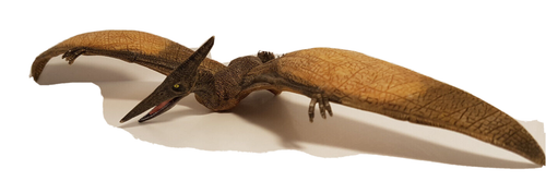 55006 PAPO : Pteranodon ref : 1PA688 - Picture 8 of 8