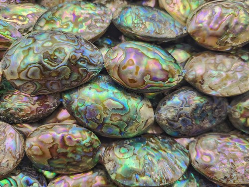 Natural Abalone Puffy Oval Nugget Shape Beads Size 25x35mm 15.5" Strand - Picture 3 of 5