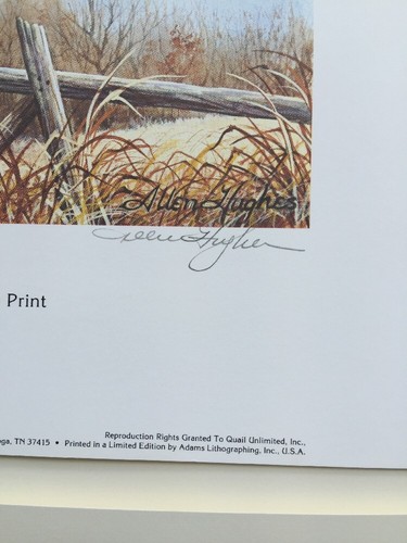 Allen Hughes MD --1982 Wachtel Konservierung Stempel/Druck S/# #880/1500 Neu in OVP - Bild 3 von 6