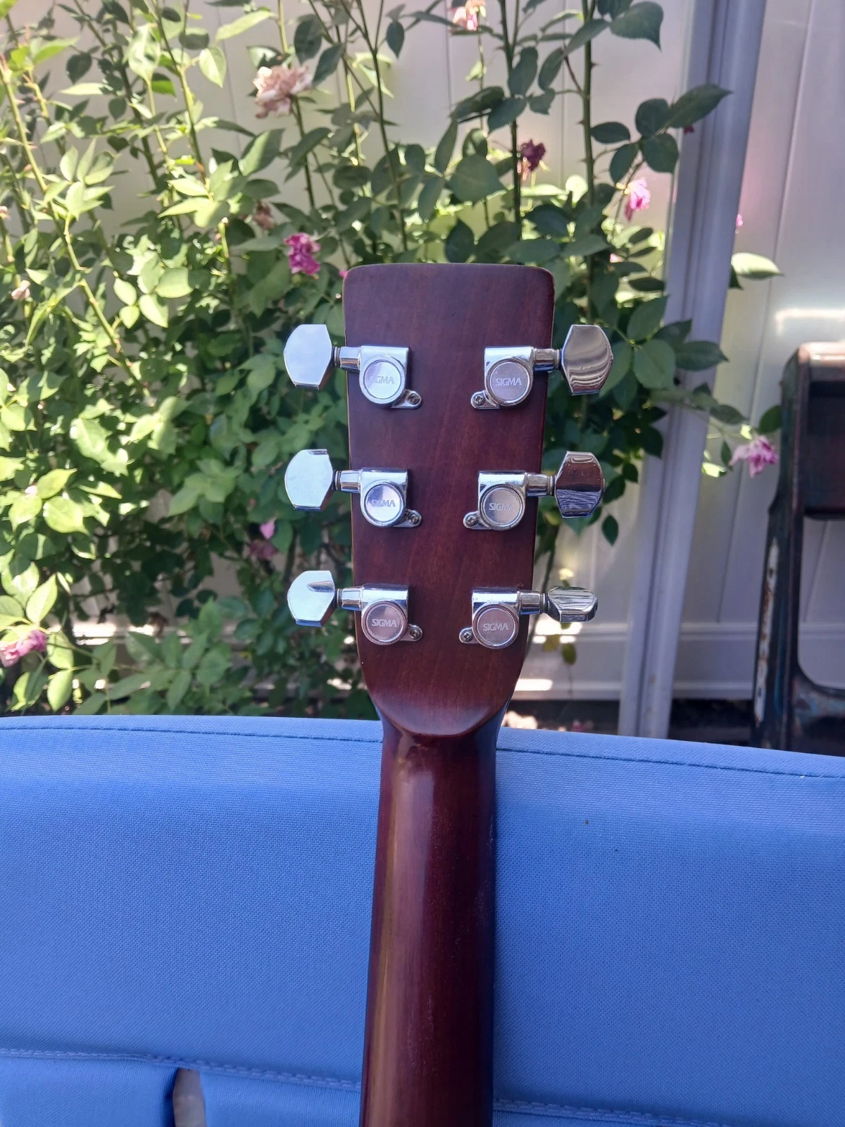 Picture 5 of 11