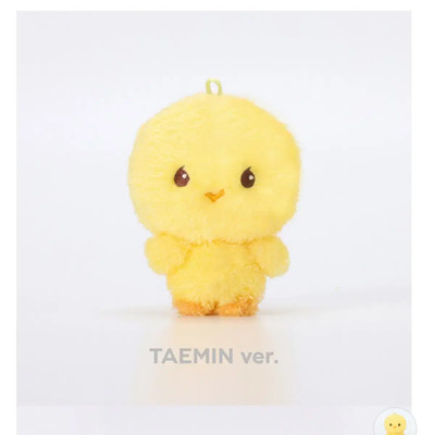 SHINee Taemin テミン taemari テマリ 40cm doll s-l400.jpg