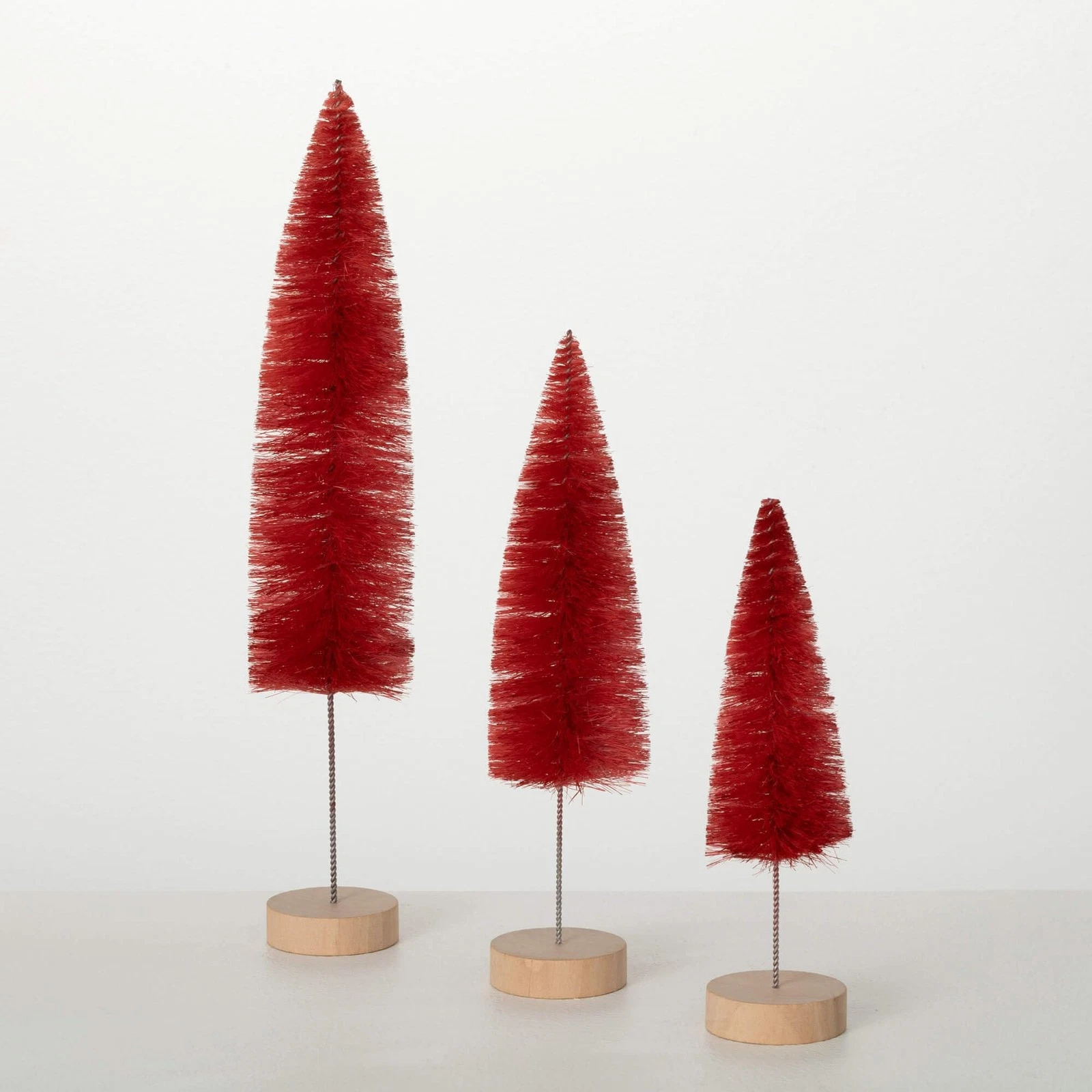 Sullivans Bottle Brush Tree - Thumbnail 2
