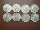 Lot of 8 Peace Silver Dollars High Grade Collection AU BU Coins