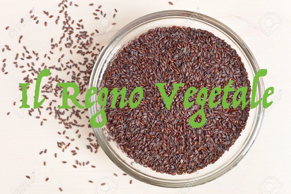 IL REGNO VEGETALE PSILLIO Semi Bruni Puri Interi 1 Kg INTESTINO pigro Stitichezza Diverticoli