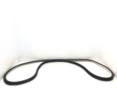 2011-2019 INFINITI Q70 Q70L M37 M56 LEFT DRIVER FRONT DOOR WEATHERSTRIP SEAL OEM