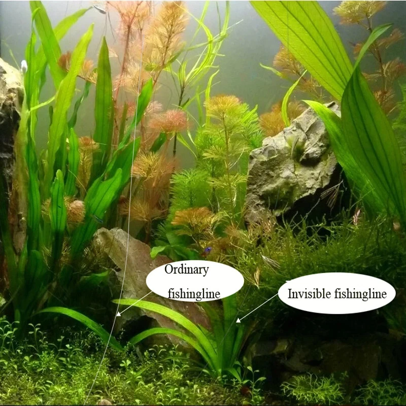 Línea de pesca monofilamento invisible Spoted 3000M 2000M 1000M súper fuerte Foto 2 de 4