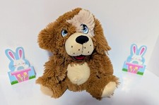 Peek A Boo Toys Soft Plushie Dog with Floppy Ears Stuffed Animal 12"
