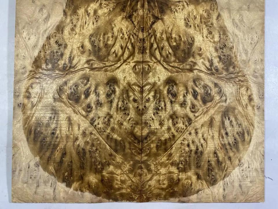 5A Figure Les Paul Guitar Top Barky Golden Camphor Wood Burl Luthier Supply - Image 3 of 4