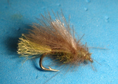 FLY FISHING FLIES -  Olive CORN FED CADDIS (Dry Fly/Diver) Flies size #16 (6 pc)