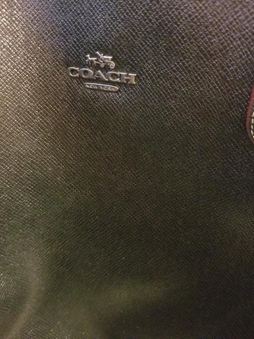 Coach Disney Collaborazione Paisley Borsa Tote Bag F59376 Rosso F S