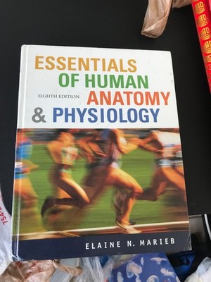 Essentials of Human Anatomy and Physiology