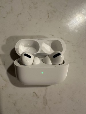 Apple AirPods Pro 1st Gen w/ Charging Case (Defective)