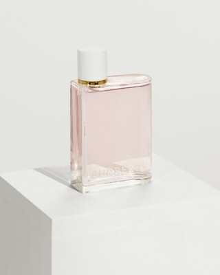 Burberry Her Blossom 3.3 oz / 100 ml Eau de Toilette | eBay