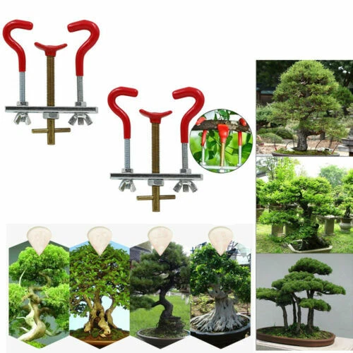 Bonsai-Wurzelkralle\/- Hacken online kaufen | eBay.de