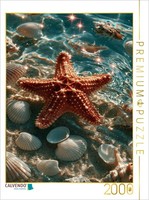 Calvendo Puzzle The Treasures Of The Sea | 2000 Pieces, Finished Size 35.4 × 26.