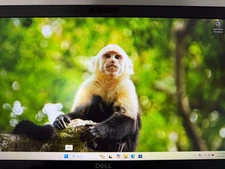 Dell Precision 3541 Laptop 15.6'' FHD I7-9750H 16GB 512GB NVME Quadro P620