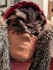 COMANCHE INDIAN HEADRESS MADE BY COMANCHE GAP CERTIFIED INDIAN ENTERPRISE