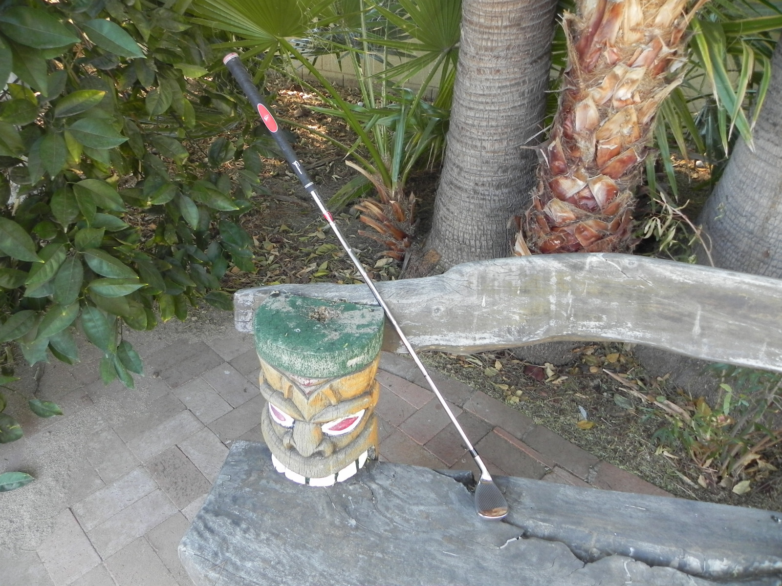 Picture 9 of 9