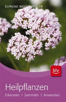 Heilpflanzen: Erkennen · Sammeln · Anwenden von Wen... | Buch | Zustand sehr gut