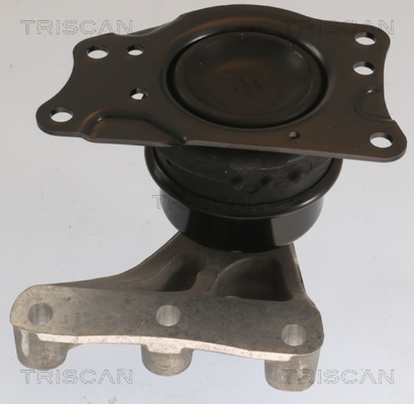 Motorlager Triscan 8505 29176 FüR VW Polo 5 6R1 6C1 TSI 16V Skoda Fabia 3 NJ5 4-image
