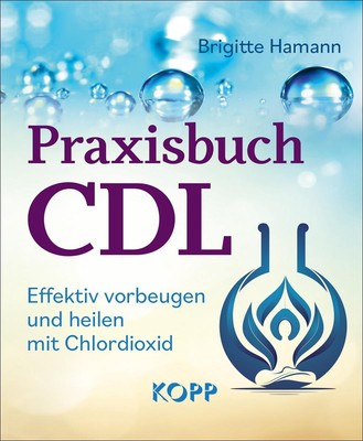 Praxisbuch CDL Brigitte Hamann