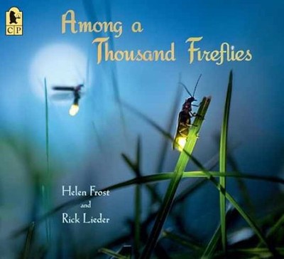 Among a Thousand Fireflies (Step Gently, - Paperback, by Frost Helen - Very Good
