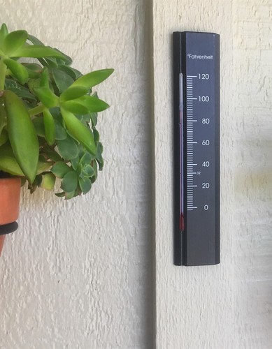 Wooden Analog Wall Thermometer Fahrenheit Scale Beech Wood 7.8 inch tall - Picture 5 of 15