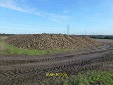 Photo 6x4 Sugar beet heap on Setch Road Just off the A10 east of West Win c2013