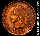 1893 Indian Head Cent- Uncirculated- Luster- No Reserve #J9031