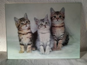 The Range 3 Kätzchen Glas Schneidebrett 15,5 Zoll x 11,5 Zoll