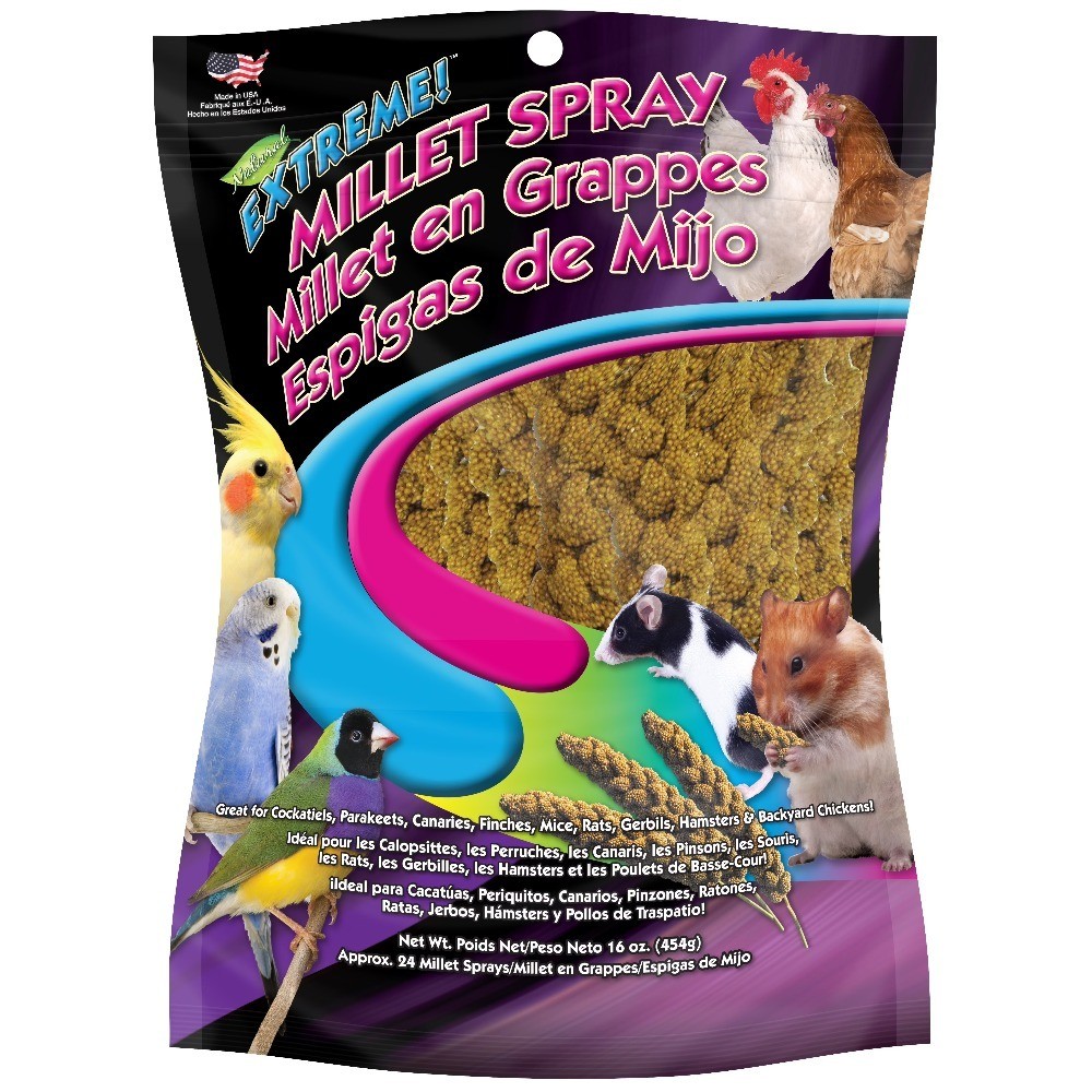 Spray Millet Treat for Parakeets Cockatiels Finches 16 Oz Bi