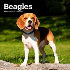 Beagles | 2026 7x14" (Hanging) Monthly Mini Wall Calendar
