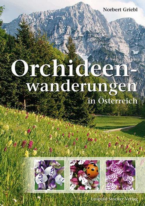 Thumbnail - Orchideenwanderungen In Österreich Norbert Griebl