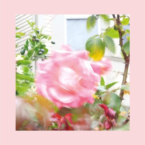The Reds, Pinks and Purples Summer at Land's End (Vinyl LP) 12" Album