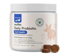 Daily Probiotic for Dogs - Digestive Health, Gut Balance, Immune Support - 60