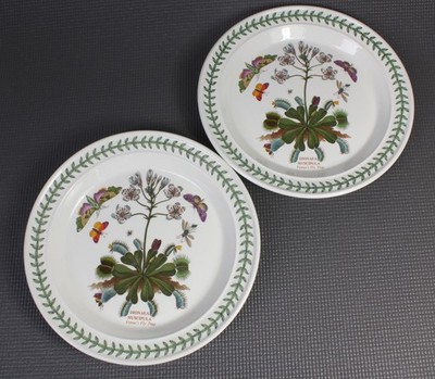 2 x Portmeirion Botanischer Garten 10,5 Zoll Essteller - Venusfliegenfalle Design