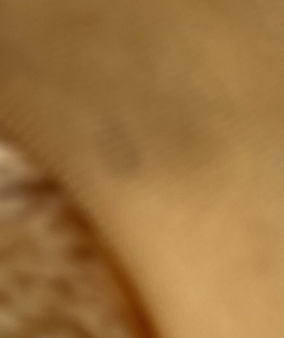 Foto 11 di 11