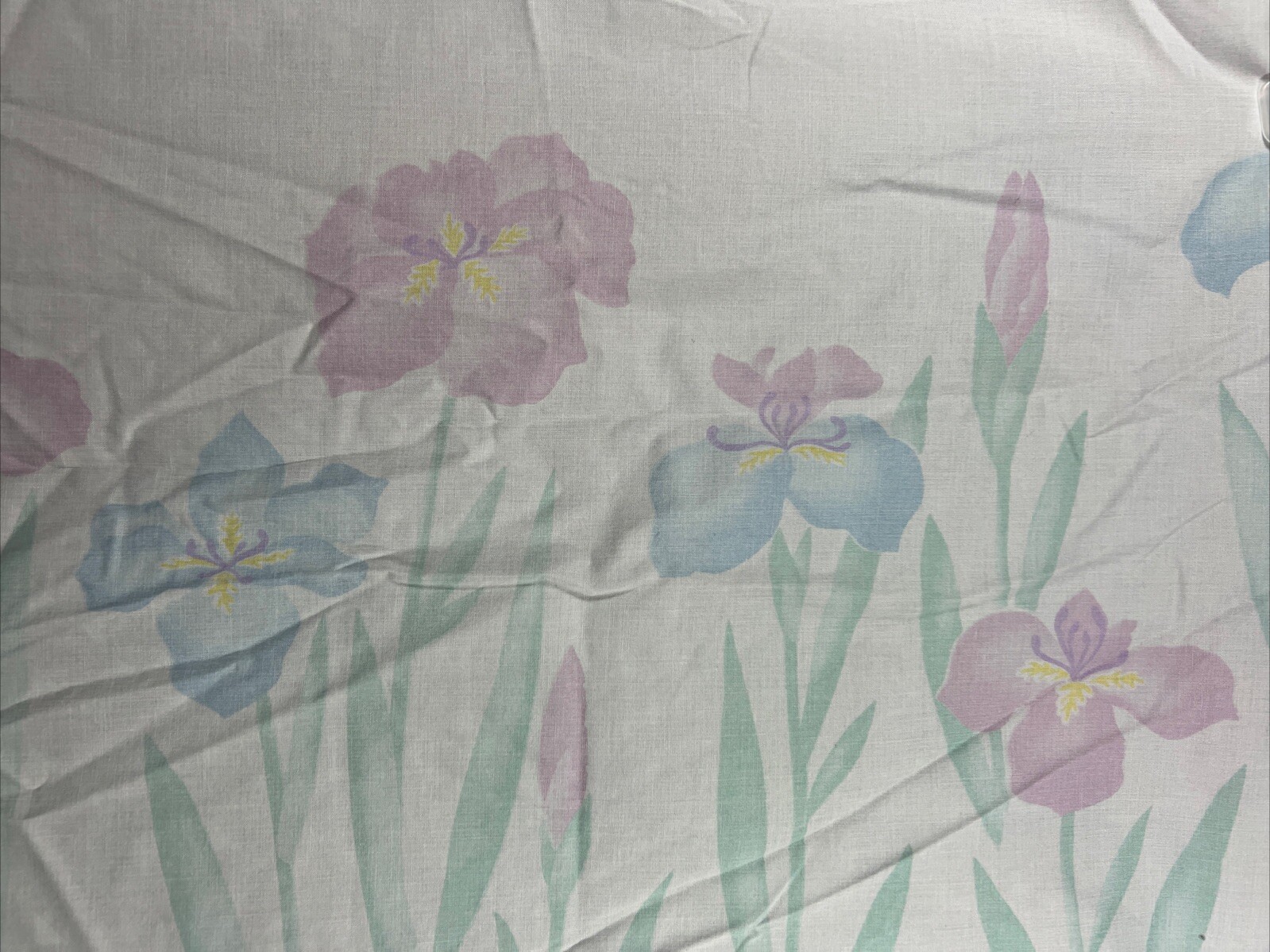 Bild 6 von 6