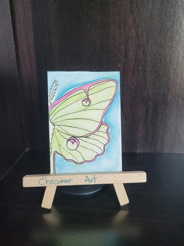 Luna Moth- Original Art ACEO Miniature Painting Watercolor Pencil 