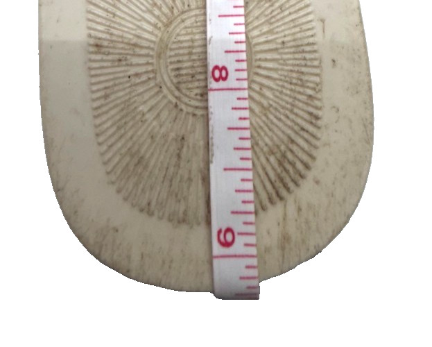 Michael Kors Sandals MK Logo Charm Thong LILLIE Jelly Flip Flop White Sz 7 - 7.5 thumbnail 9