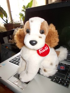 peluche bellissimi