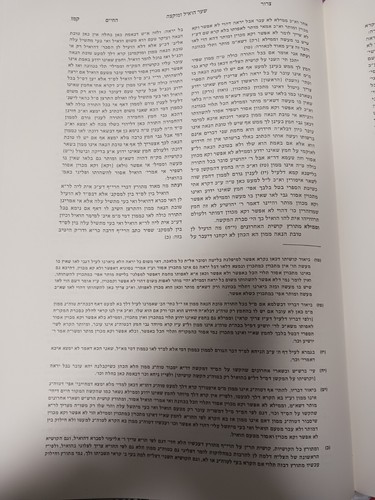 TZROR HACHAIM SELISH NEW EDITION WITH LOTS OF HISTORY GENOLOGY צרור החיים סעליש - Bild 13 von 24