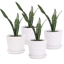 Plant Pots - 5.5 Inch Cylinder Ceramic Planters with Connected Saucer, Pots f...