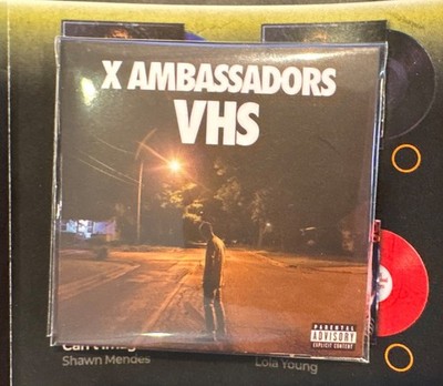 Mini  Zuru Vinyl X Ambassadors - Renegades